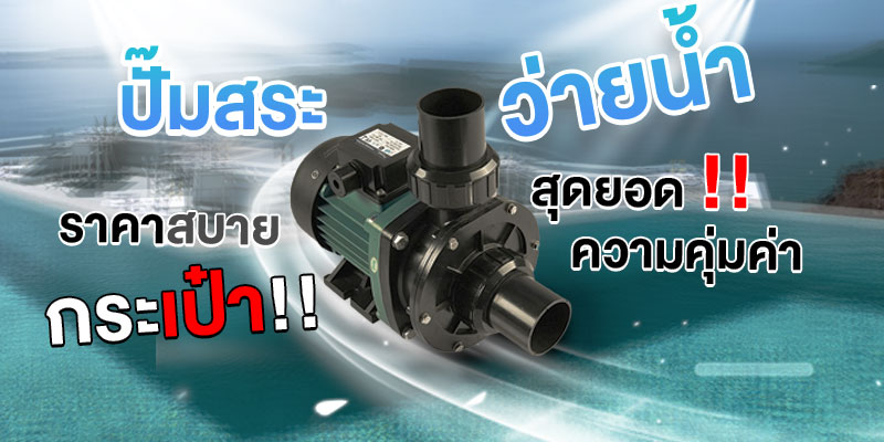 ปั๊มสระว่ายน้ำ EMAUX SS SERIES - SS020